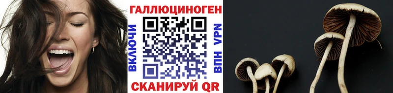 Галлюциногенные грибы Psilocybe  купить наркотик  Щёлково 